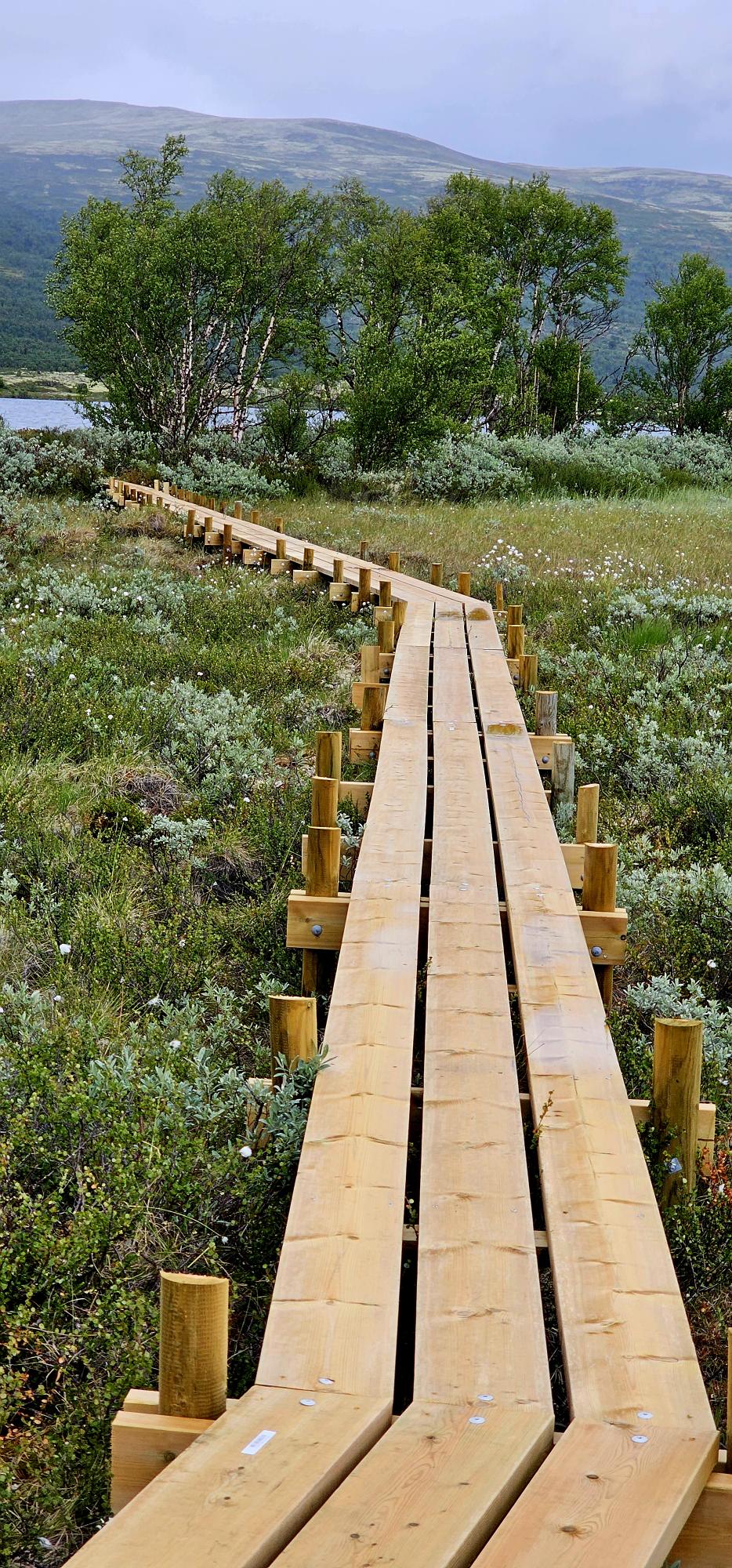 pad met houten planken in Noorwegen